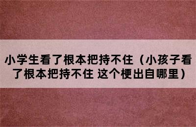 小学生看了根本把持不住（小孩子看了根本把持不住 这个梗出自哪里）